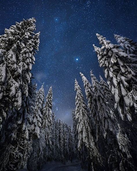 Mitt Norge στο Instagram Norwegian Wilderness 💙 Photo By Nikonfoto