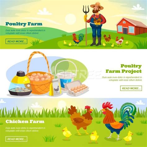 Poultry Farm Banners With Cartoon Scenery Farmer And Chicken Characters