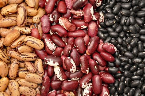 12 Proven Health Benefits Of Beans Health Tips