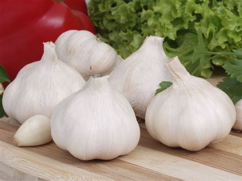 Tanaman dengan nama latin allium sativum ini memang bermanfaat untuk memberi rasa sedap masakan dan aroma yang menggiurkan. Manfaat Bawang Untuk Kesehatan