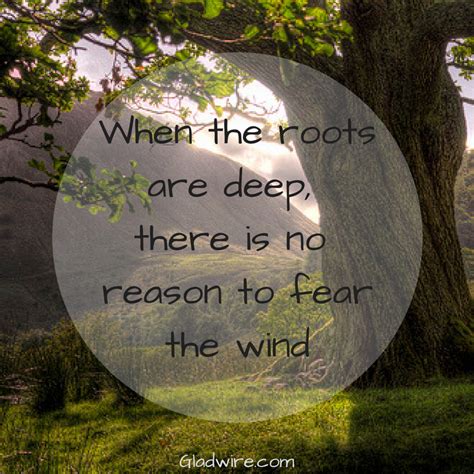 When The Roots Are Deep There Is No Reason To Fear The Wind For