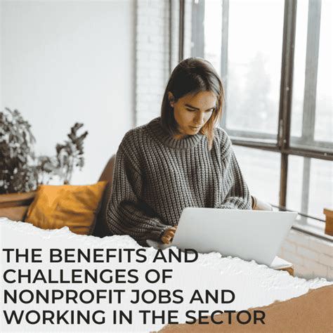 The Benefits And Challenges Of Nonprofit Jobs Nonprofit Job Seeking
