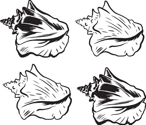 Life is good when you are on vacation at the beach. 20+ Latest Cartoon Conch Shell Drawing | Barnes Family