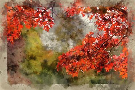 Watercolor Painting Of Beautiful Vibrant Autumn Landscape Forest