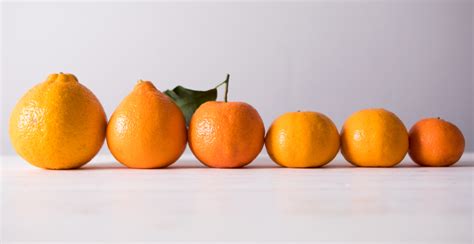 Know Your Mandarins In 2020 Mandarins Food Info Fruit