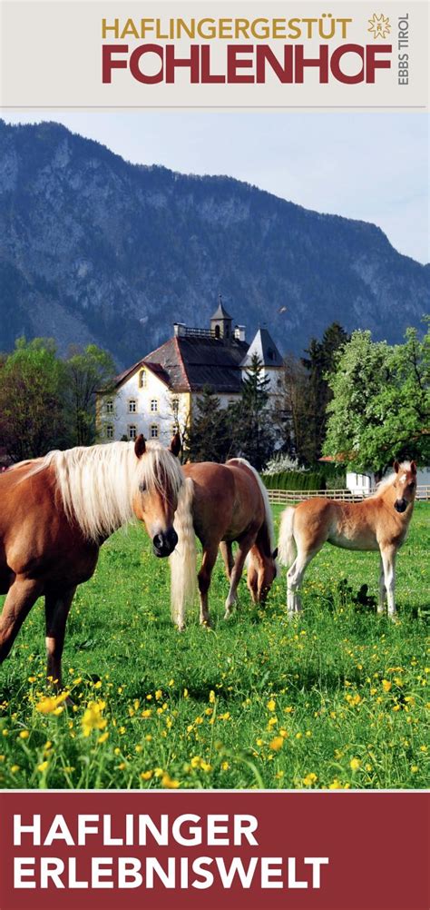 Haflingergestüt Fohlenhof Ebbs By Kufsteinerland Issuu