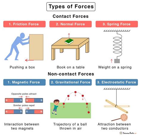 How Many Types Of Force Exist