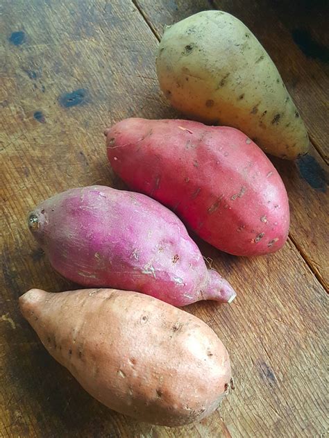 Kumara There Are Over 400 Varieties Here S How To Use Them