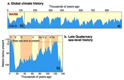 Case Study 11000 Years Of Sea Level Change