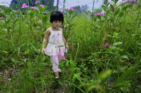 Free Images Forest Grass Walking People Plant Girl
