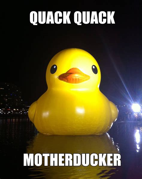 Image 556050 Big Yellow Duck Know Your Meme