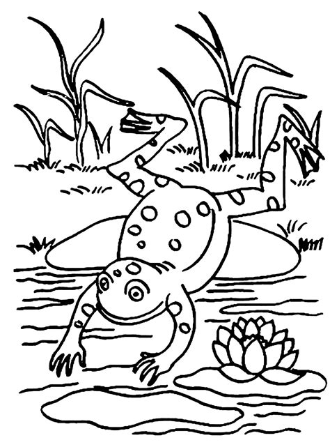 Frog Image To Print And Color Frogs Kids Coloring Pages