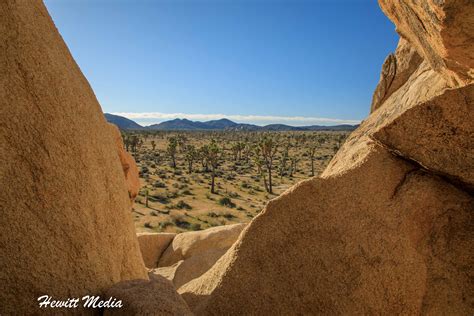 Wanderlust Travel And Photos Joshua Tree National Park Visitor Guide