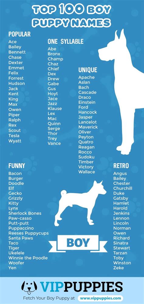 Dog Names Cute Boy Dogjulc