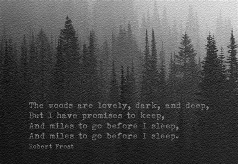 The Woods Are Lovely Dark And Deep But I Have Promises To Keep