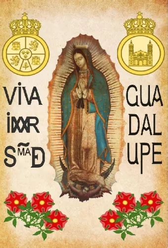 Estandarte Hidalgo Virgen De Guadalupe Mercadolibre