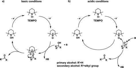 The Mechanism Of Tempo Mediated Alcohol Oxidation Proceeds Through An