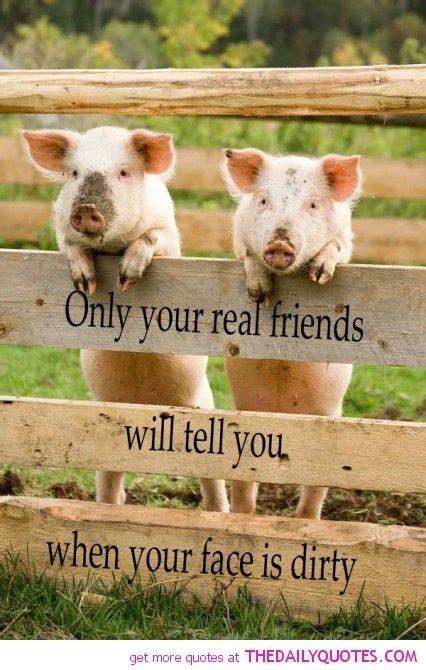 63 Quotes About Friendship Real Friends Animals Friendship Quotes