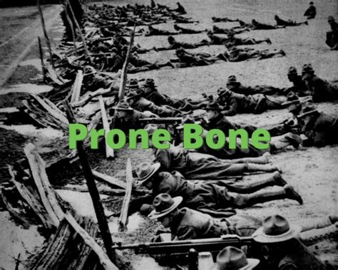 Prone Bone Tumblr Datawav Hot Sex Picture
