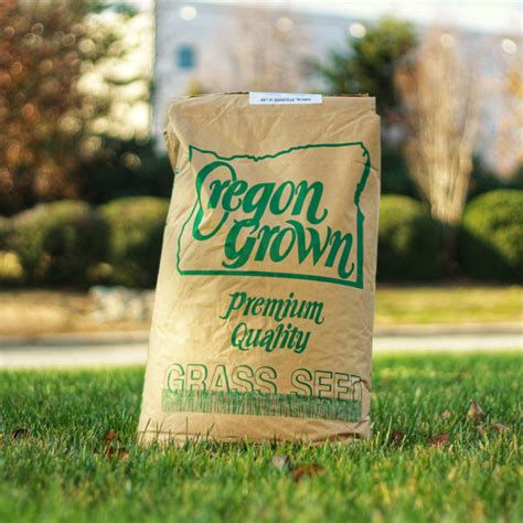 Grass Seed Premium Rye Gulf Annual Oregon Grown Most Popular Lawn