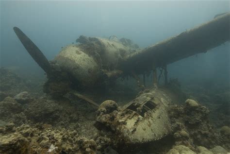 Underwater Relics On The Micronesia Cruise Destinasian