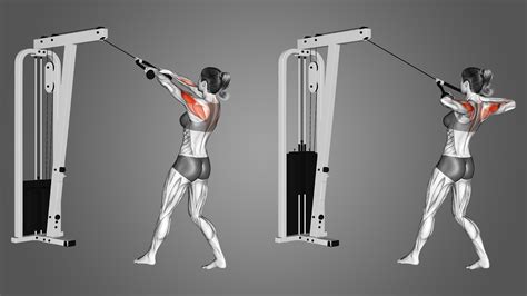 Cable Rear Delt Row Benefits Muscles Worked And More Inspire Us