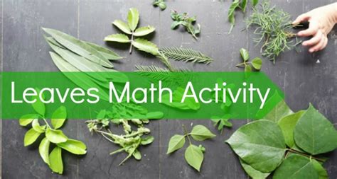 Leaves Nature Math Activity for Preschool