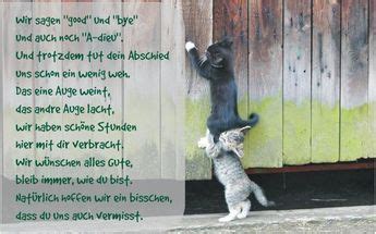 Lustige sprüche zum geburtstag lustige sprüche und liebe glückwünsche zum 50. coole Sprüche zum Abschied eines Kollegen | Inspiring ...