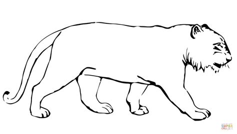 You can download my newest coloring pages large heart with stripes coloring page. Tiger Without Stripes coloring page | Free Printable ...