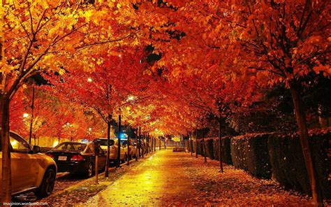 Autumn Street Wallpapers Top Free Autumn Street Backgrounds