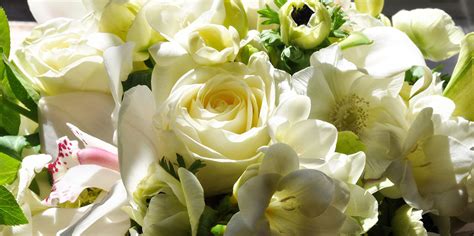 Sympathy flower, funeral flower, peonies, roses red roses flower delivery dc flower arrangement, sunflower, hydrangeas birthday flower, send flower dc, petworth dc, dc flower shop rose bouquet peony tulips lily anniversary. Ultra Violet Flowers — Ultra Violet Flowers