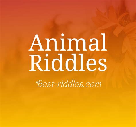 Animal Riddles With Answers Best Jobs For Felons