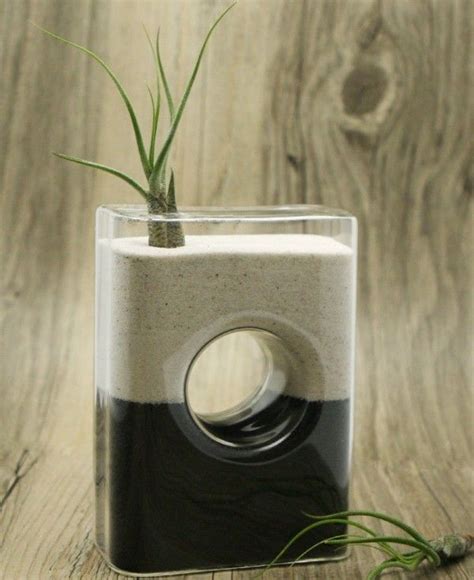 50 Unique Decorative Vases To Beautify Your Home Unique Terrarium Air