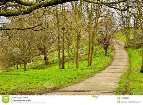 Its A Walk In The Park Stock Photo Image Of Covering 120332890