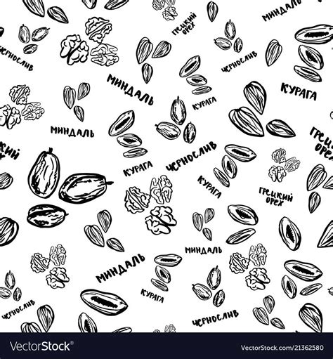 Dried Fruits And Nuts Pattern On White Background Vector Image
