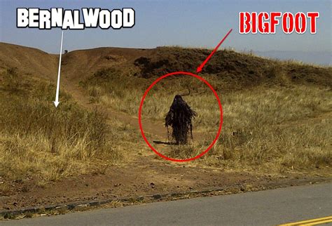 Finally Bigfoot Sighting On Bernal Hill Bernalwood