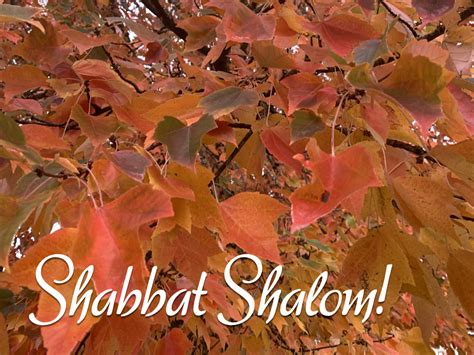Shabbat Shalom Hoshana Rabbah Bloghoshana Rabbah Blog