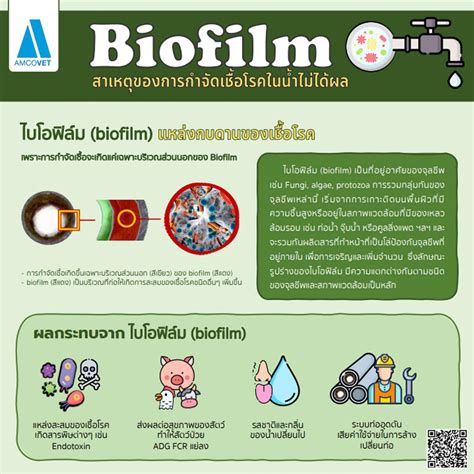 Biofilm สาเหตุของการกำจัดเชื้อโรคในน้ำไม่ได้ผล - Amcovet