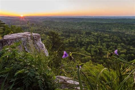 13 Beautiful Trails To Hike In Alabama