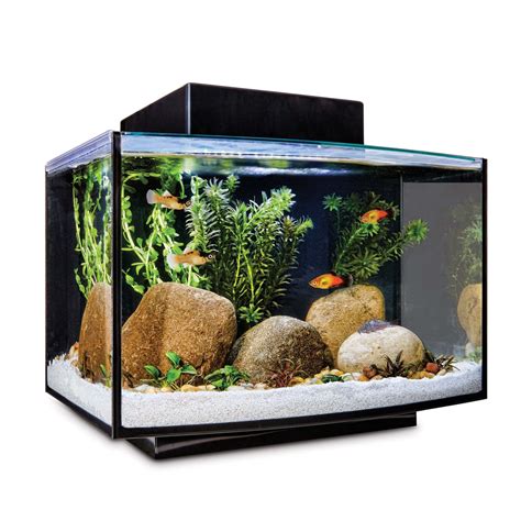 Imagitarium Platform Freshwater Aquarium Kit, 6.6 GAL | Petco