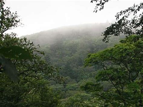 Fujimoto tatsuki, born october 10, 1993) is a japanese manga artist, known for his works fire punch and chainsaw man. 内黒峠…十方山…恐羅漢山…モリガ谷 2006/7/29