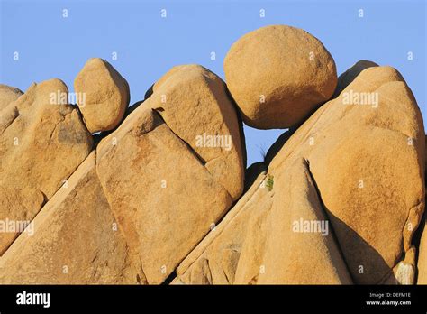 Granite Bouldersforms Of Erosion Joshua Tree Np California Usa