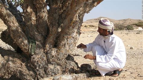 Arabian Peninsula Fun Deserts Jesus Lives Places To Visit Visiting