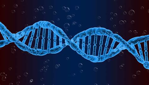 Genetic Engineering In Humans Is Bad Debatewise