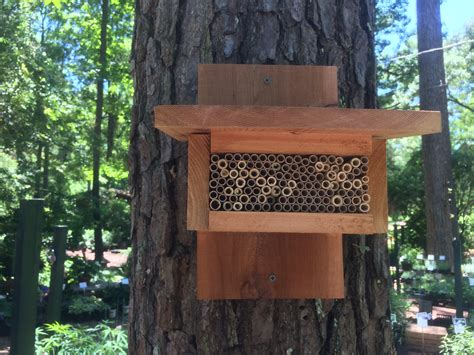 Enhance Habitat For Native Bees With Nesting Boxes