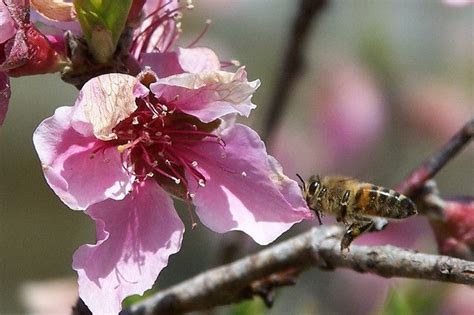 Such dreams also indicate you feel fragile, unsuitable, weak, insecure and helpless in reality. What Do Flowers Mean in Dreams? | Dream symbols, Flowers ...