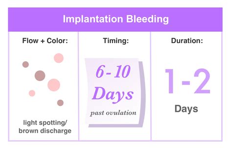 spotting vs period and more causes and differences of bleeding through homedoc