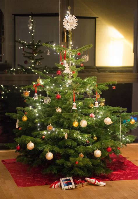 How Long Does A Christmas Tree Last Actually Solved Bob Vila