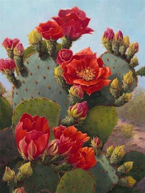 Succulent outline design with cat in cartoon style wreath succulents and branches for invitation vector. Pin by Lina🍃🌻🍃🌻 Garcia on Cactus | Cactus painting, Cactus ...