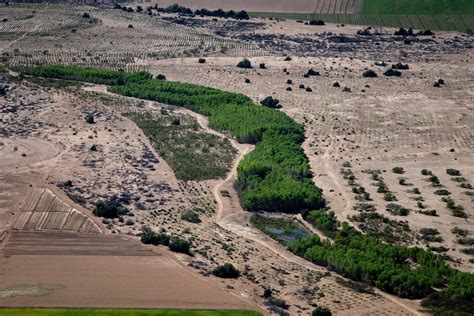 How Mexicos Dry Colorado River Delta Is Being Restored Piece By Piece